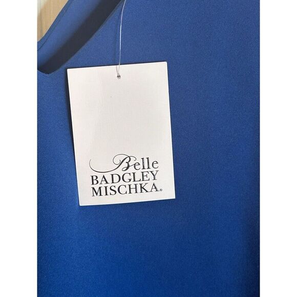 NWT BADGLEY MISCHKA POPOVER SILHOUETTE V NECKLINE SLEEVELESS FALLYN size 10 - Picture 7 of 10